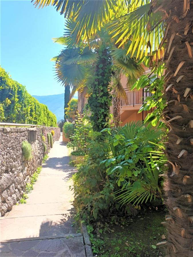 Waterfall & Pool Riva del Garda Exterior foto